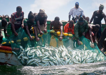 La pêche et l’aquaculture en danger face aux changements climatiques