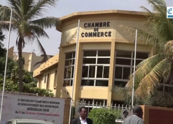 Burkina Faso: Le CNPB, une force de promotion du développement économique