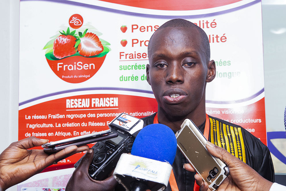 Lancement de Fraisen, premier label des producteurs africains de fraises