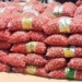 Sénégal :  la production de l’oignon en constante hausse (Dg horticulture)