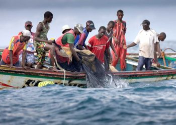 Pêche en zone interdite : 103 millions de FCFA d’amendes versés au trésor public et 24 navires arraisonnés au Sénégal