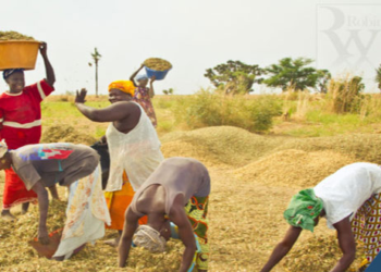 L’Etat du Sénégal valide un plan d’urgence de 11 milliards en vue de faire face à la période de soudure