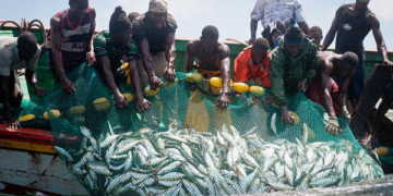 La pêche et l’aquaculture en danger face aux changements climatiques