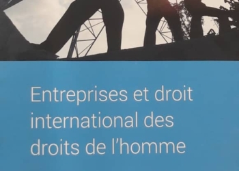 Entreprises et droit international des droits de l’homme : Session de formation René Cassin et Friedrich Naumann