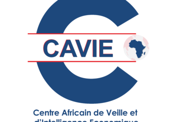 CAVIE: 35 participants certifiés au Burkina Faso