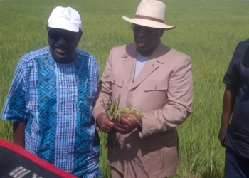 Agriculture: Macky Sall veut renforcer les Domaines agricoles communautaires