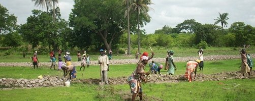 Agriculture: Macky Sall veut renforcer les Domaines agricoles communautaires