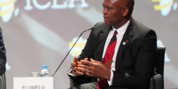 Tony Elumelu salue le « rôle important » des jeunes dans le développement du continent