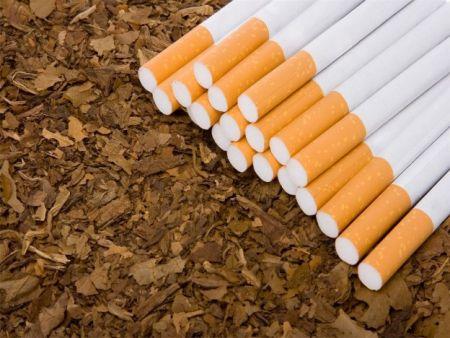 Le tabac de contrefaçon fait perdre par an 10 milliards dollars à l’Afrique subsaharienne