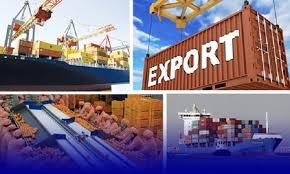 Sénégal : Hausse de 43,6% des exportations en juillet 2019 (ANSD)