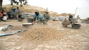 Campagne de commercialisation arachidière : Plus de 500 000 tonnes déjà collectées