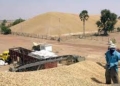 Campagne de commercialisation : Plus de 674 tonnes d’arachides collectées (Ministre)