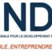 La BNDE sacrée « Mentor des PME »