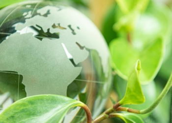Des obligations vertes, sociales et durables pour répondre aux besoins d’investissement durable de l’Afrique