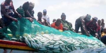 Les recommandations de l’UNAPAS pour le développement de la pêche artisanale