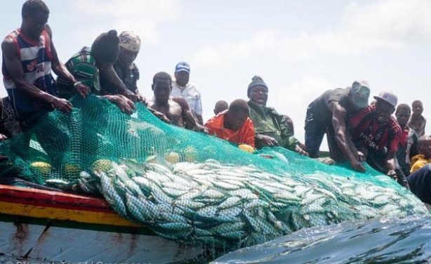 Les recommandations de l’UNAPAS pour le développement de la pêche artisanale