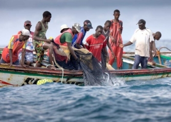 Les recommandations de l’UNAPAS pour le développement de la pêche artisanale