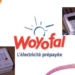 Electricité : Vers la suppression de la 3e tranche du Woyofal