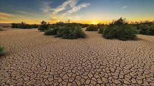 Lutte contre les effets du changement climatique : Claver Gatete  salue les progrès réalisés avec le Fonds pour les pertes et les dommages