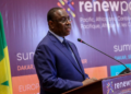Démocratie libérale : le sommet du RENEWPAC prône une refondation des rapports entre l’Europe et l’Afrique