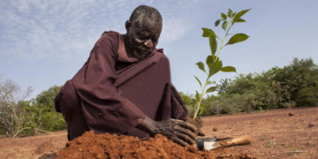 Insécurité alimentaire : La Banque mondiale approuve un financement de 200 millions de dollars au Sénégal