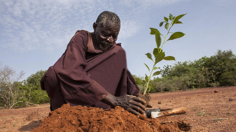 Insécurité alimentaire : La Banque mondiale approuve un financement de 200 millions de dollars au Sénégal