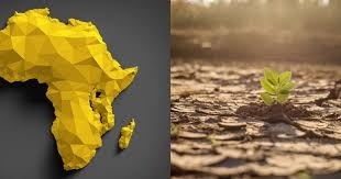 Entre 1991 et 2023, l’Afrique s’est réchauffée à un rythme « plus rapide » que la moyenne mondiale (Rapport)