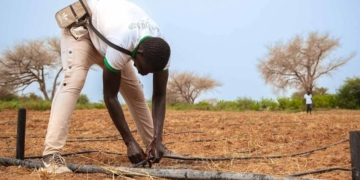 Plus de 74 millions d’euros de la BAD pour renforcer la promotion de l’entrepreneuriat des femmes et des jeunes au Sénégal