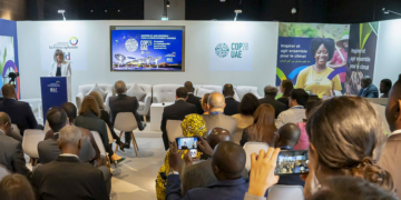 La Francophonie mobilisée à la 29e Conférence des Nations Unies sur le climat (CdP/COP29)