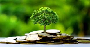 Financement climatique : Les pays en développement récusent des centaines de milliards de dollars proposés par an