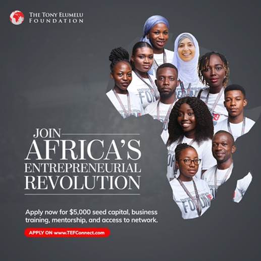 La Fondation Tony Elumelu ouvre les candidatures pour les programmes d'entrepreneuriat 2025