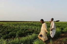 Révolution Économique au Sénégal : vers le lancement de 1000 Coopératives solidaires